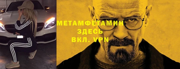 прущие грибы Верея