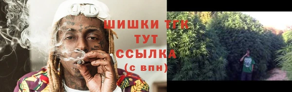 2c-b Верхний Тагил