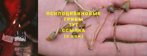 MDMA Premium VHQ Верхнеуральск