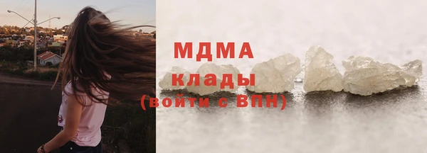 прущие грибы Верея