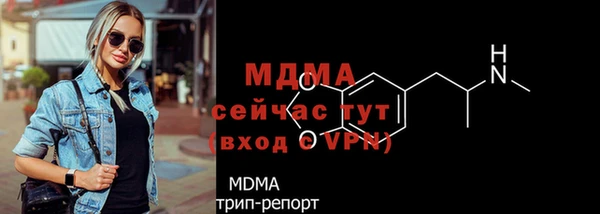 прущие грибы Верея