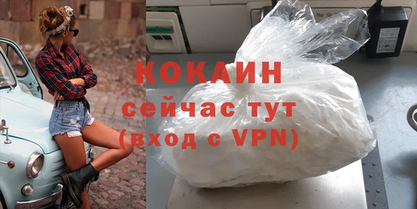 прущие грибы Верея