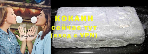 прущие грибы Верея