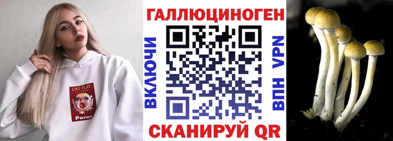 Галлюциногенные грибы GOLDEN TEACHER  цена наркотик  Находка 